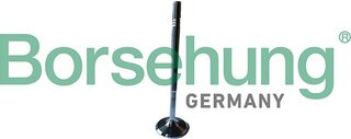 Borsehung B13246