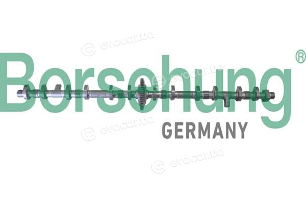 Borsehung B11325