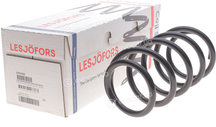 Lesjofors 4063482