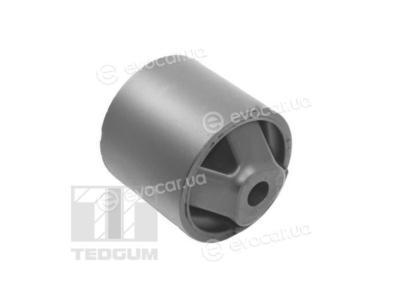 Tedgum TED12642