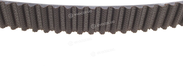 Continental CT1065K1