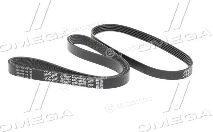 Dayco PVE003