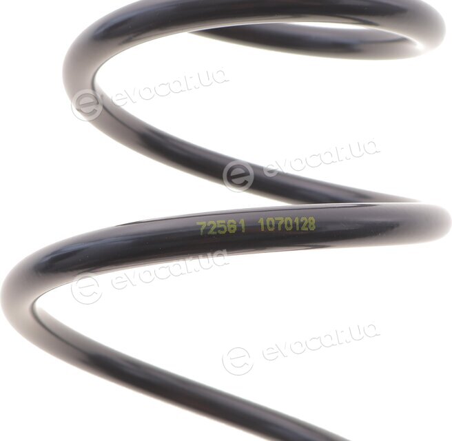 Lesjofors 4017012