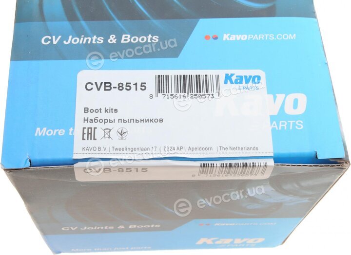 Kavo CVB-8515