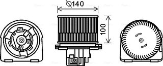 AVA OL8617