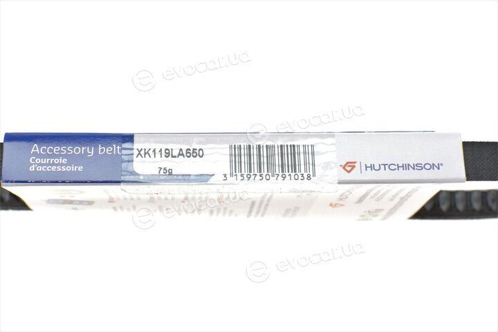 Hutchinson AV 11.9 La 650