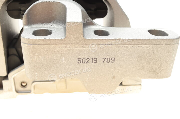 AIC 50219