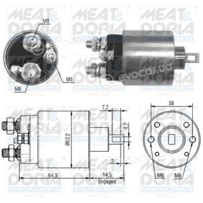 Meat & Doria 46166