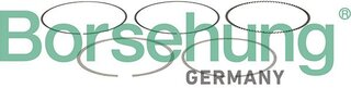 Borsehung B13257