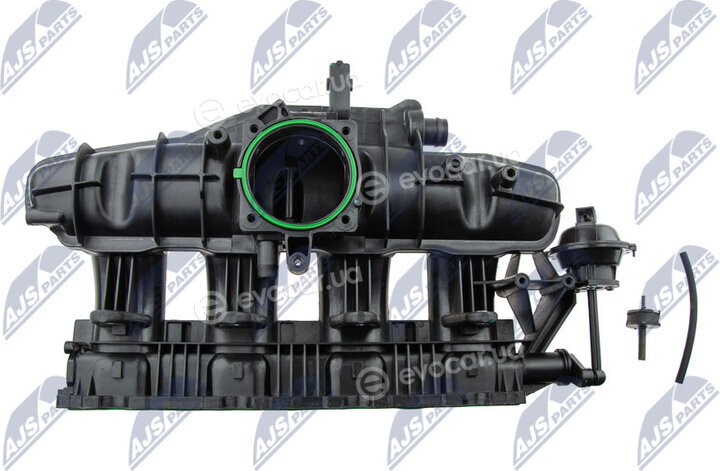 NTY BKS-VW-017