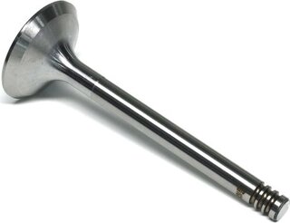 Gunes 5992