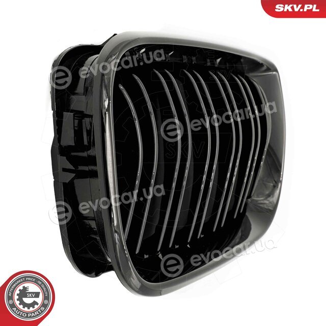 SKV 66SKV081