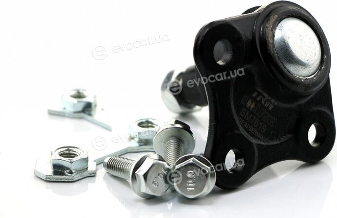 Shafer SM7619