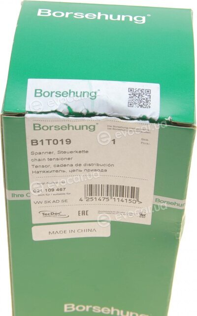 Borsehung B1T019