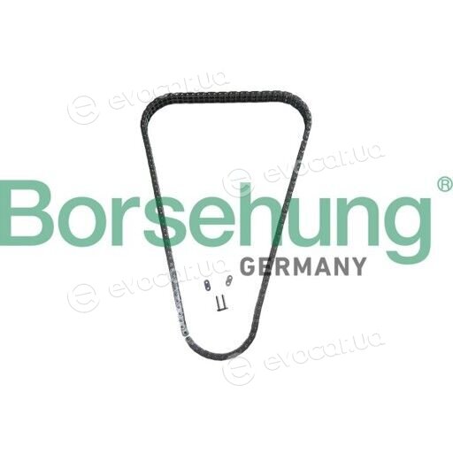 Borsehung B13344