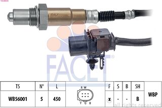 Facet 10.8434