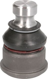 Fortune Line FZ3211