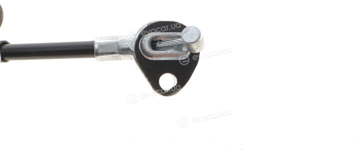 AIC 75281