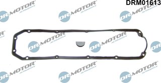 Dr. Motor DRM01613