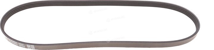 Dayco 4PK862