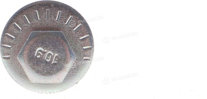 Solgy 204192