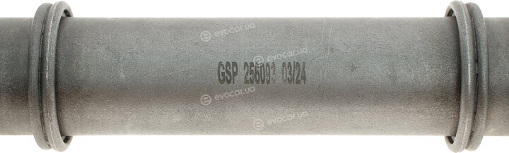 GSP 256093