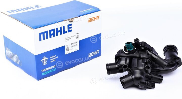 Mahle TM 56 105