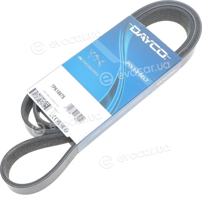 Dayco 7PK1667S