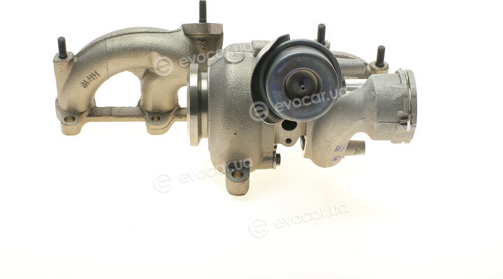 BorgWarner 54399880020