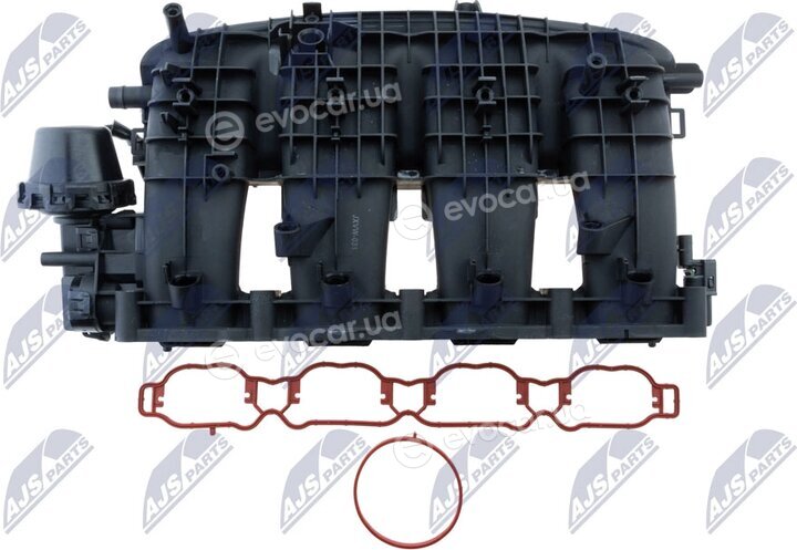 NTY BKS-VW-031