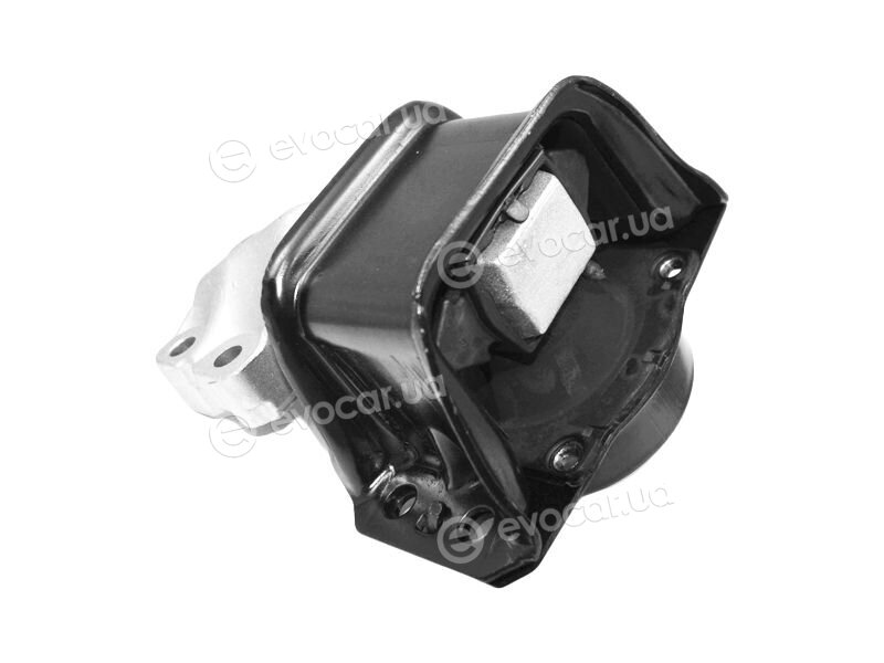 Tedgum TED40006