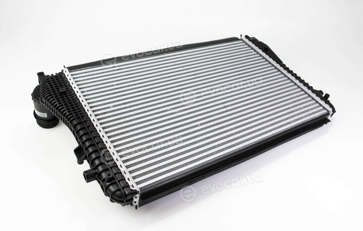 Mahle CI 207 000P