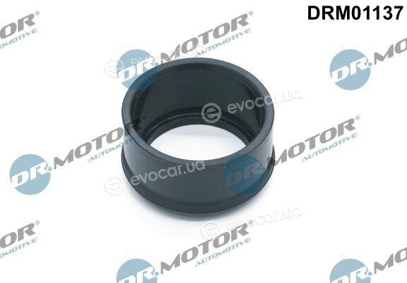 Dr. Motor DRM01137