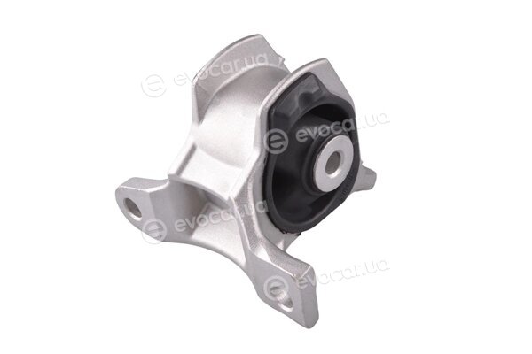 Tedgum TED37880
