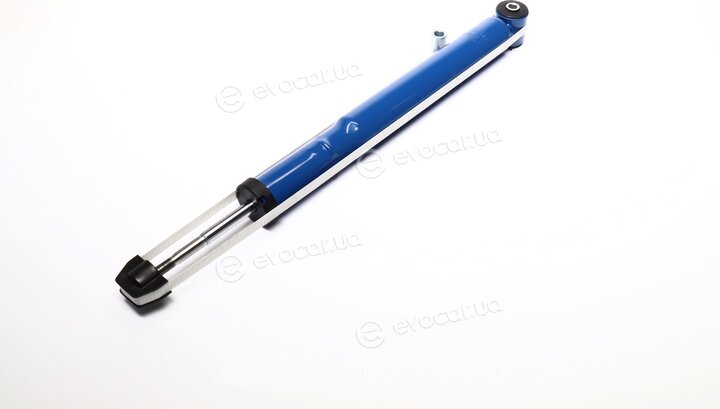 Finwhale 25034GU