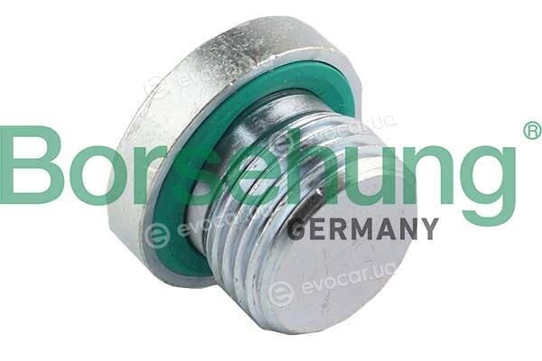 Borsehung B12748