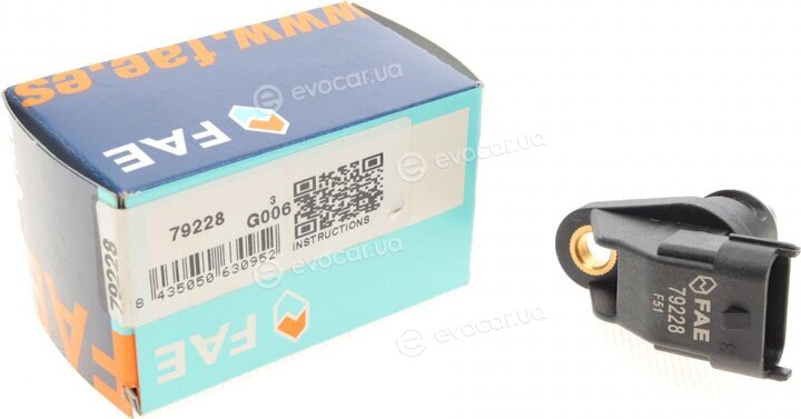 FAE 79228