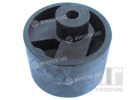 Tedgum 00675123