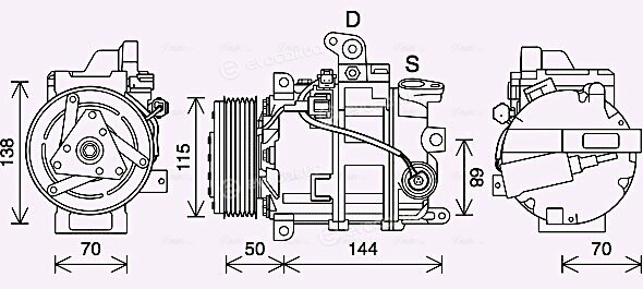 AVA DNAK447