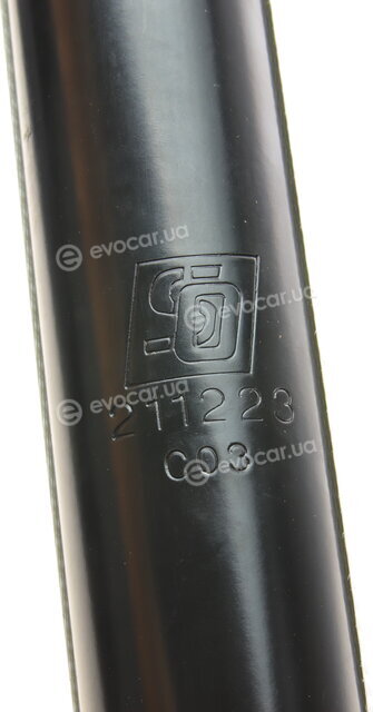 Solgy 211223