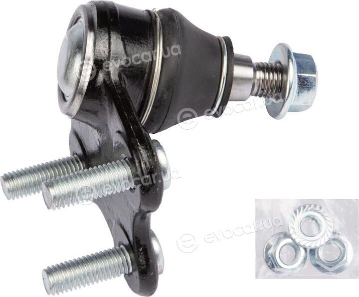 Raiso RL604366A