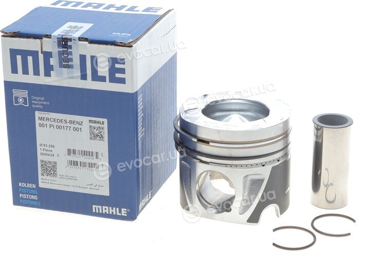 Mahle 001 PI 00177 001