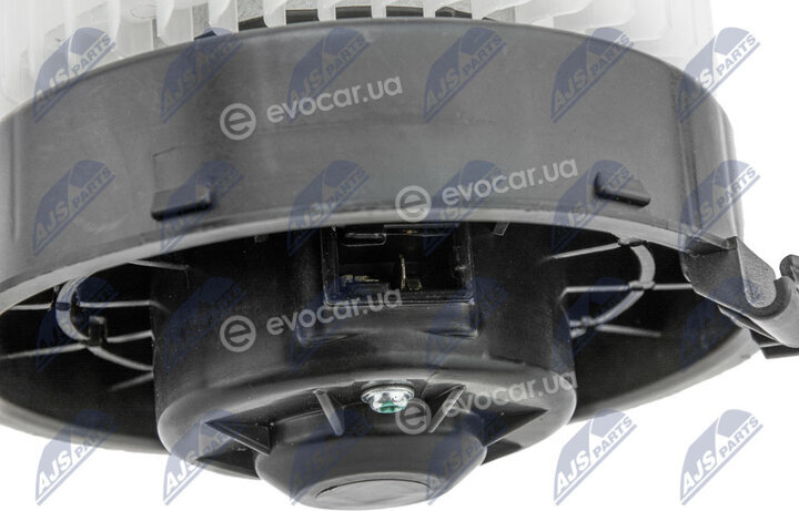 NTY EWN-NS-002