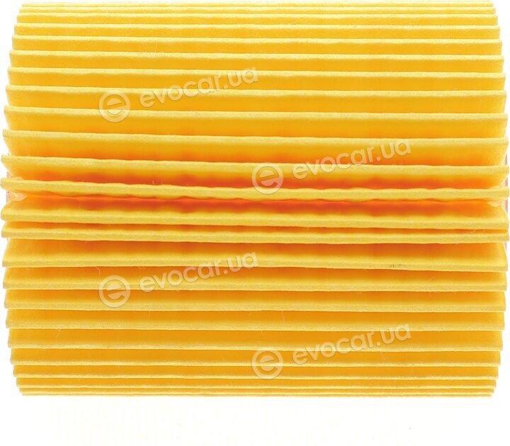 Solgy 101075