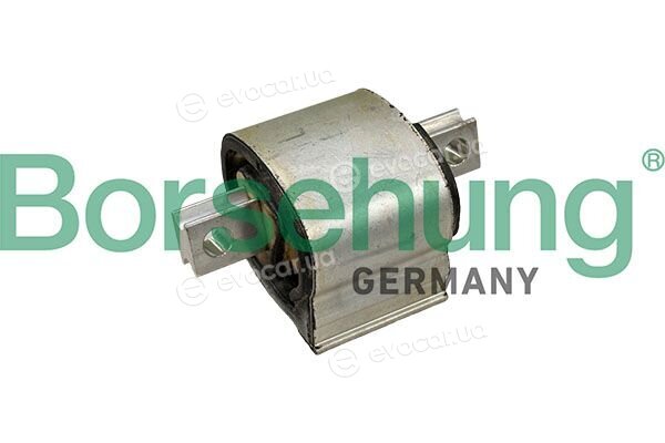 Borsehung B13078