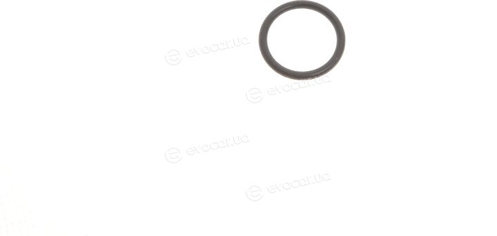Elring 116.580