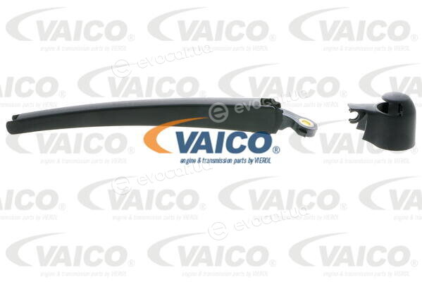 Vaico / Vemo V10-2447