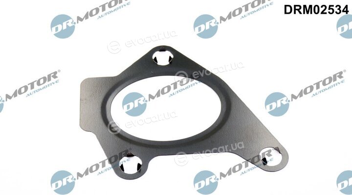 Dr. Motor DRM02534