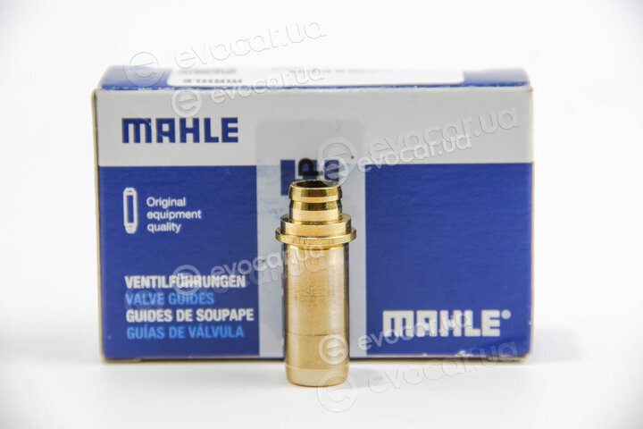 Mahle 029 FX 31173 000