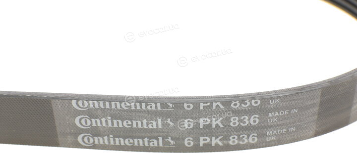 Continental 6PK836